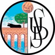 Logo del equipo